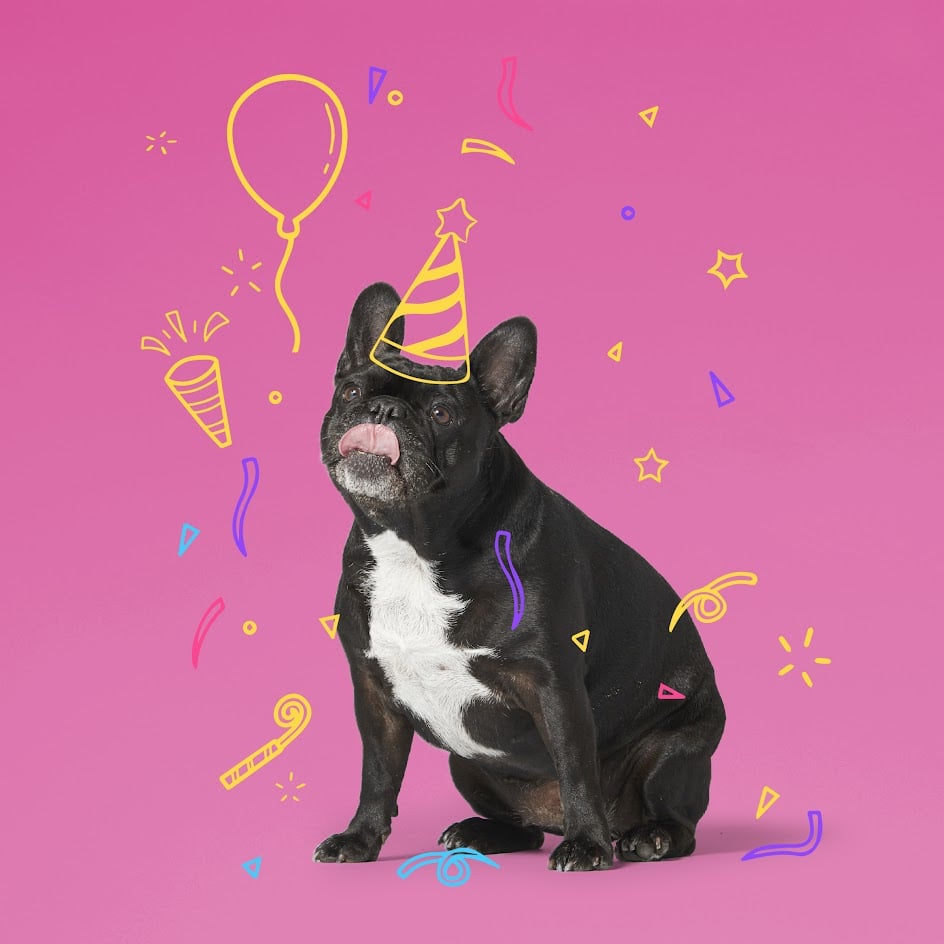 Behind the scenes of the Eight team | Eight Recruitment